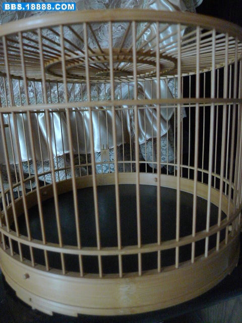 P1070201.JPG