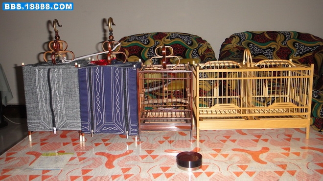 DSC00984.jpg