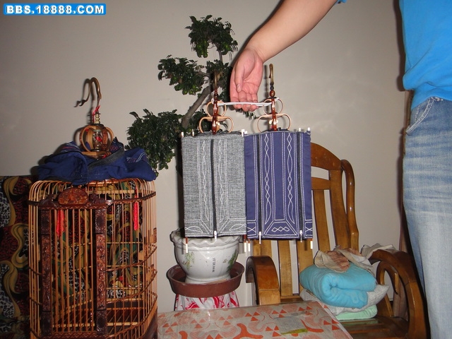 DSC00957.jpg