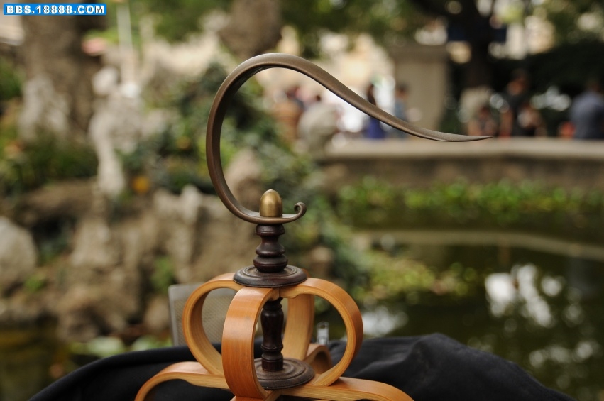 DSC_4338_conew1.jpg
