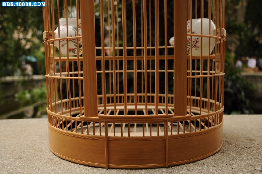 DSC_4319_conew1.jpg