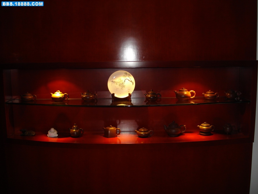 DSC05554.jpg
