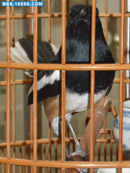 DSCF0009.jpg