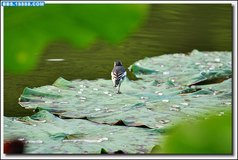 2011.9.24 057.jpg