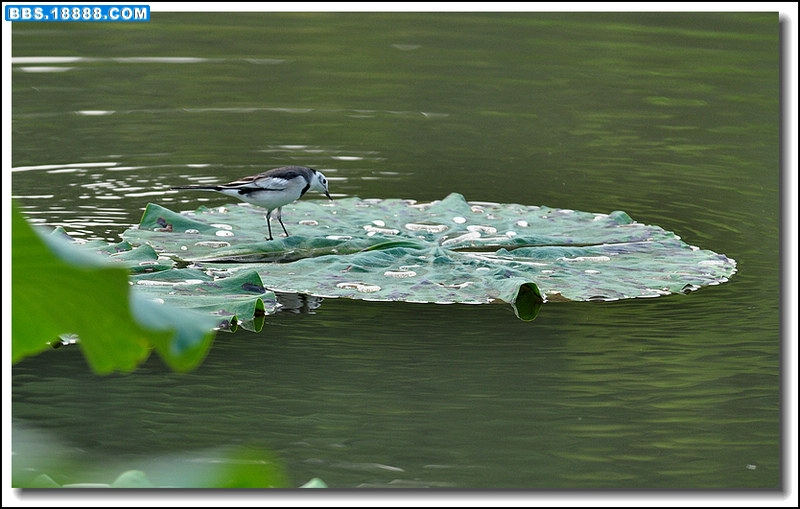 2011.9.24 052.jpg