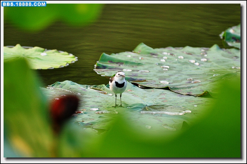 2011.9.24 054.jpg