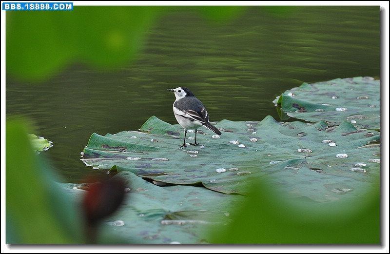 2011.9.24 068.jpg