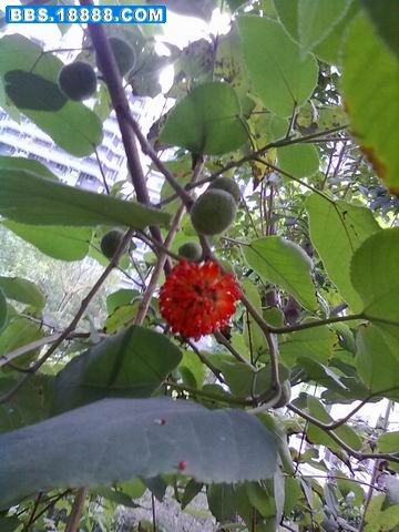 调整大小 20110902231.jpg