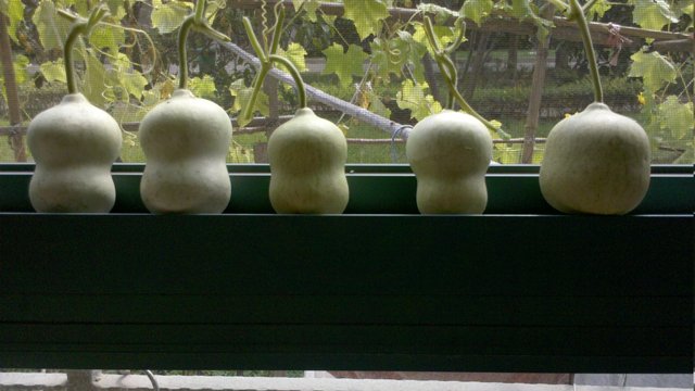 2011-09-25_12-45-52_626.jpg