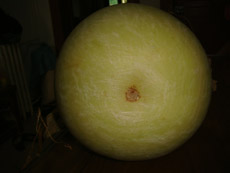 修DSC04964.jpg