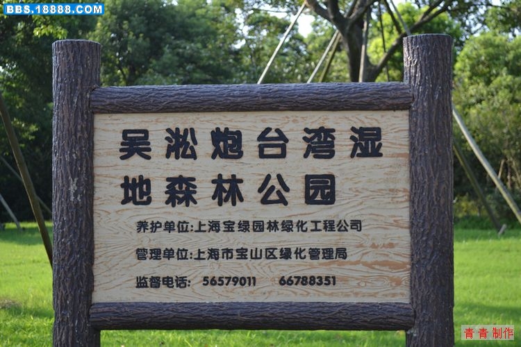nEO_IMG_DSC_0007.jpg