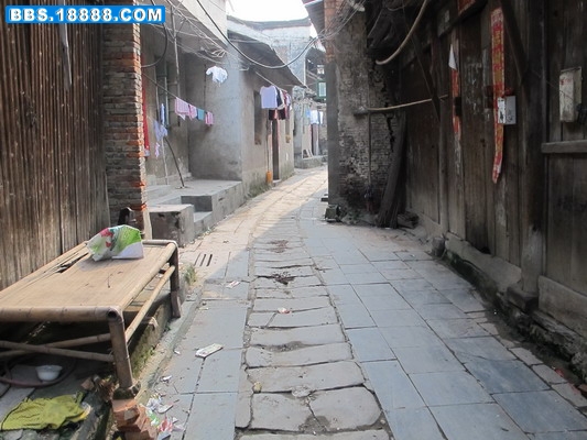 IMG_1674_缩小大小.JPG