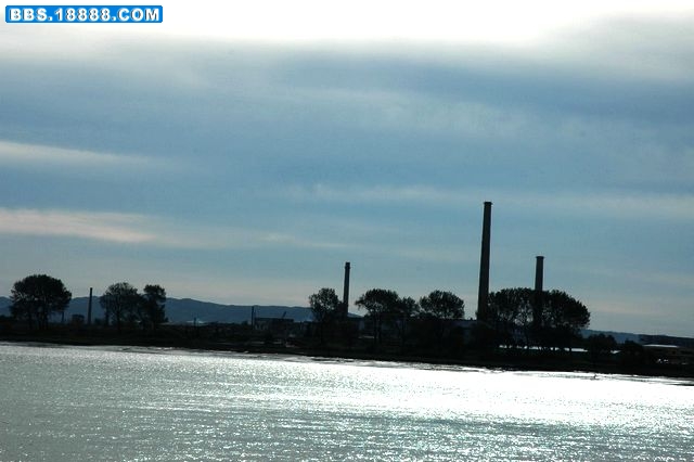 DSC_1900.JPG