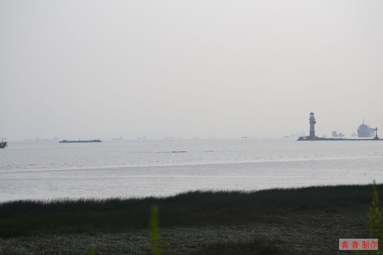 nEO_IMG_DSC_0077.jpg