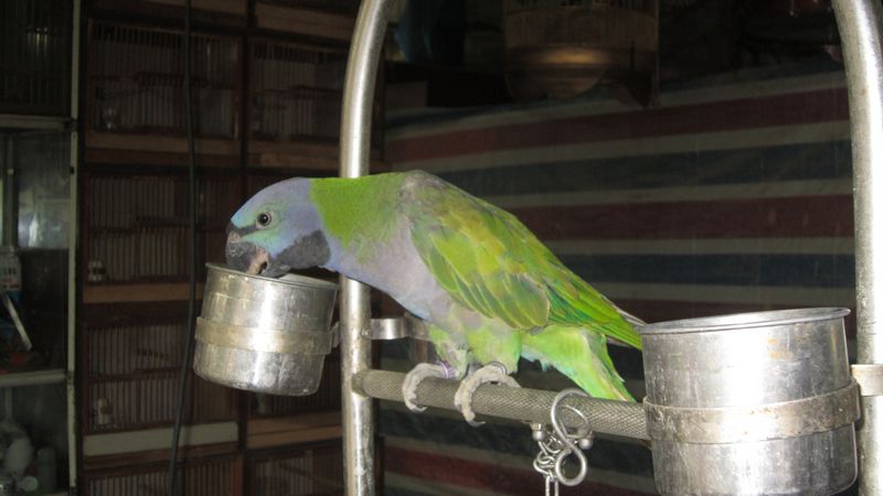 IMG_5249.JPG