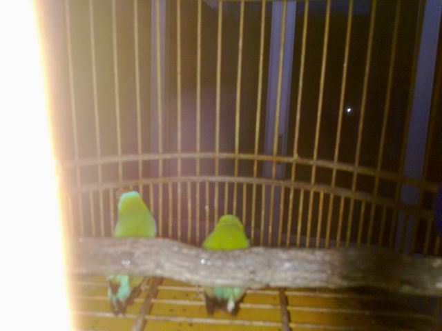 20110929084.jpg