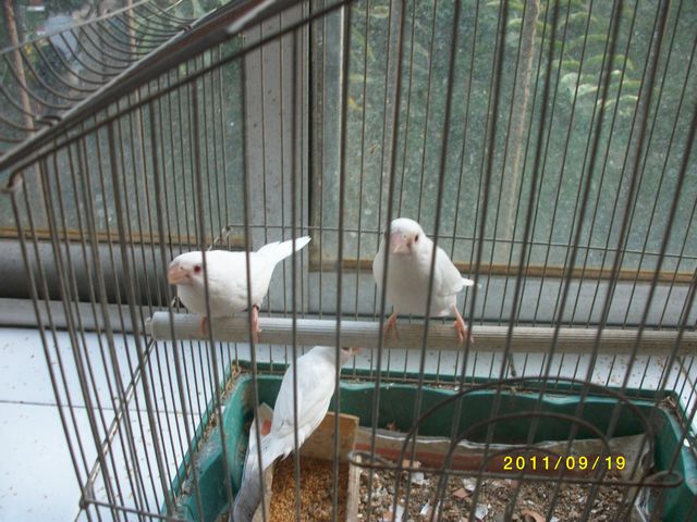 IMG_0632.JPG