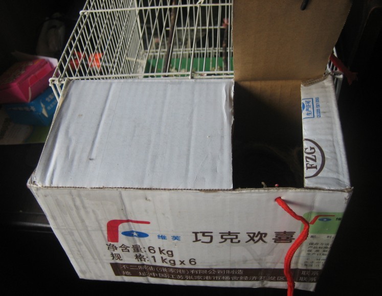 纸盒仿木盒五.jpg