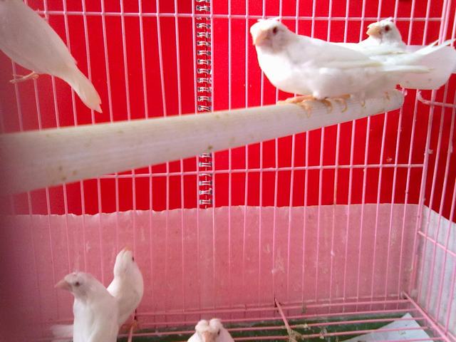 20110824120.jpg