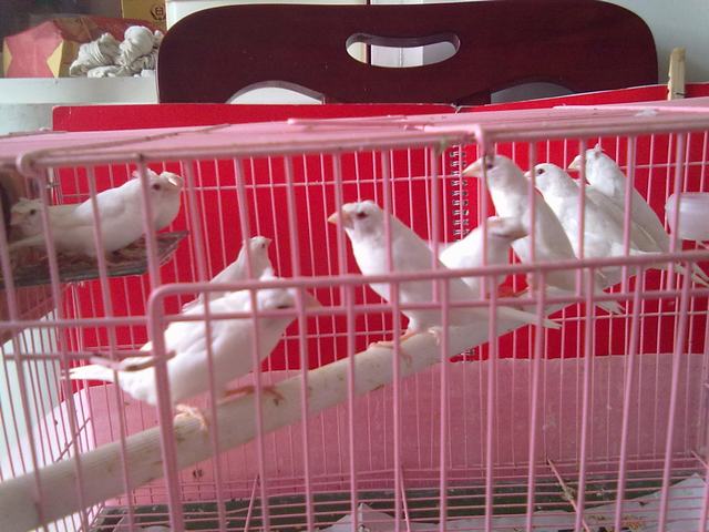 20110824124.jpg