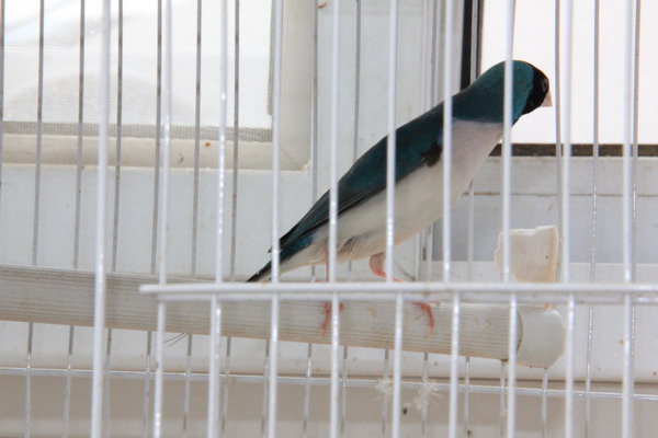 IMG_3616.JPG