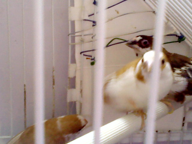 0924130901.jpg