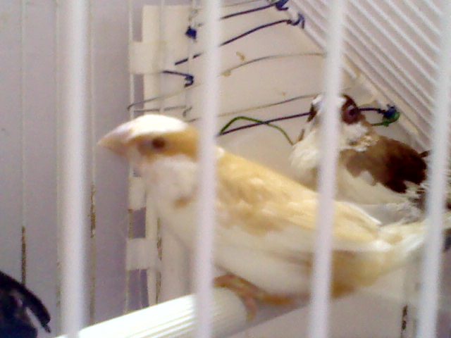 0924131000.jpg