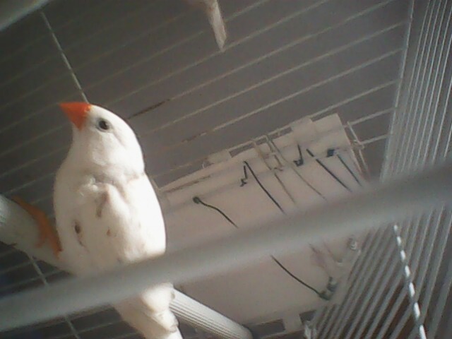 IMG0092A.jpg