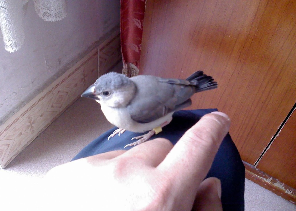 2011-9-5-00002(1).jpg