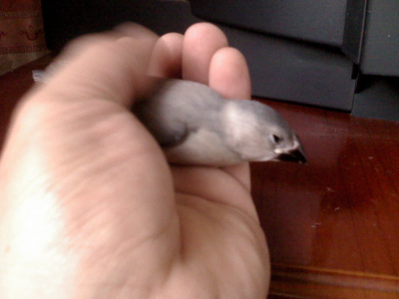 2011-9-5-00007.jpg