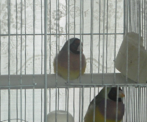 DSC001.jpg