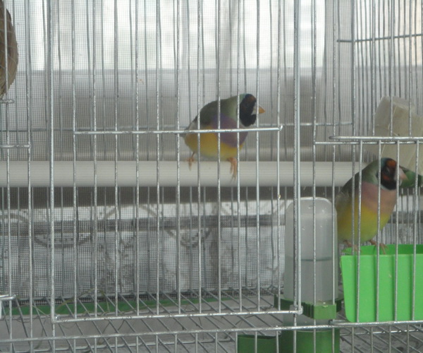 DSC003.jpg