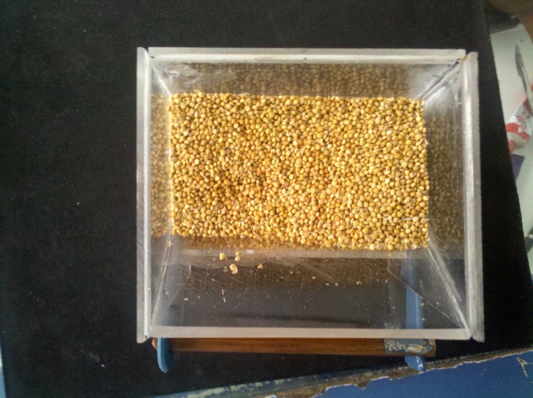 2011-09-03_15-42-41_249.jpg