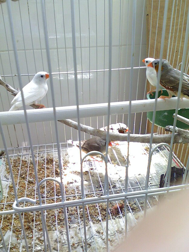 IMG0911121600.jpg