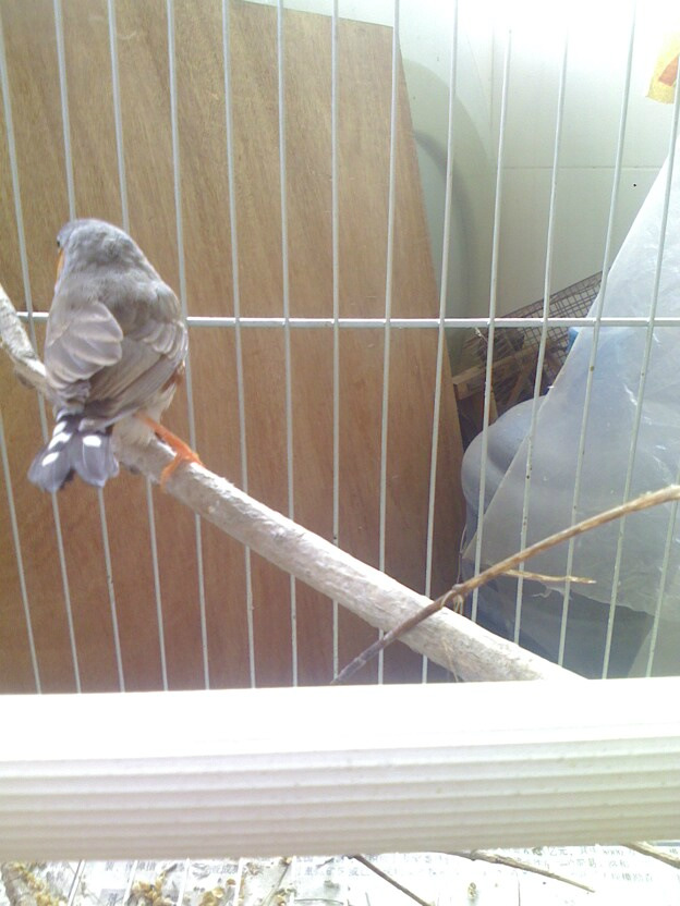 IMG0825163700.jpg