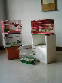 IMG0037A.jpg