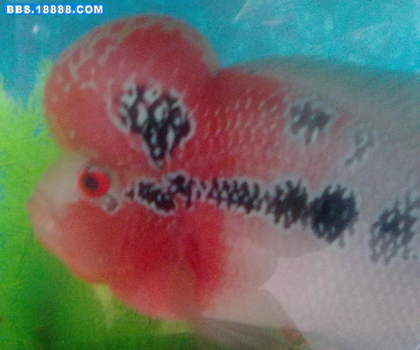 20110829396_副本.jpg