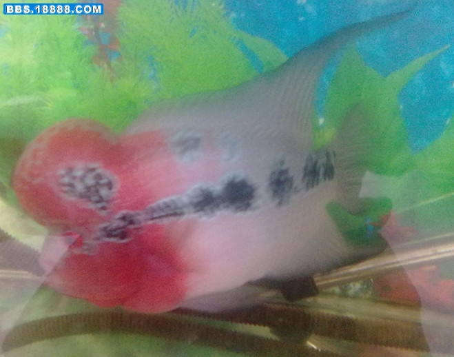 20110829397_副本.jpg