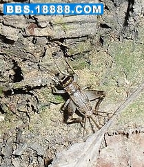 60_205303_e304d2c268e7c6c.jpg