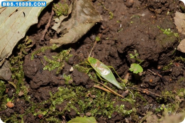 conew_img_8150.jpg