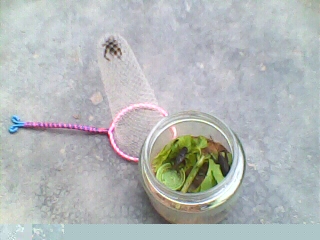 20110903174109.jpg