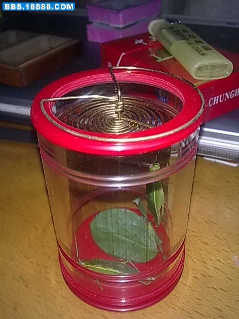 20110918974.jpg