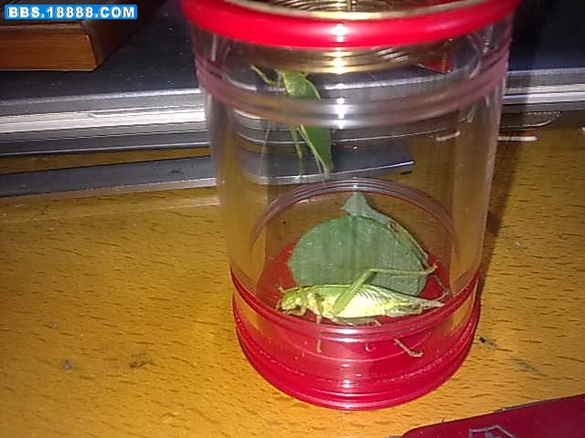 20110918973.jpg
