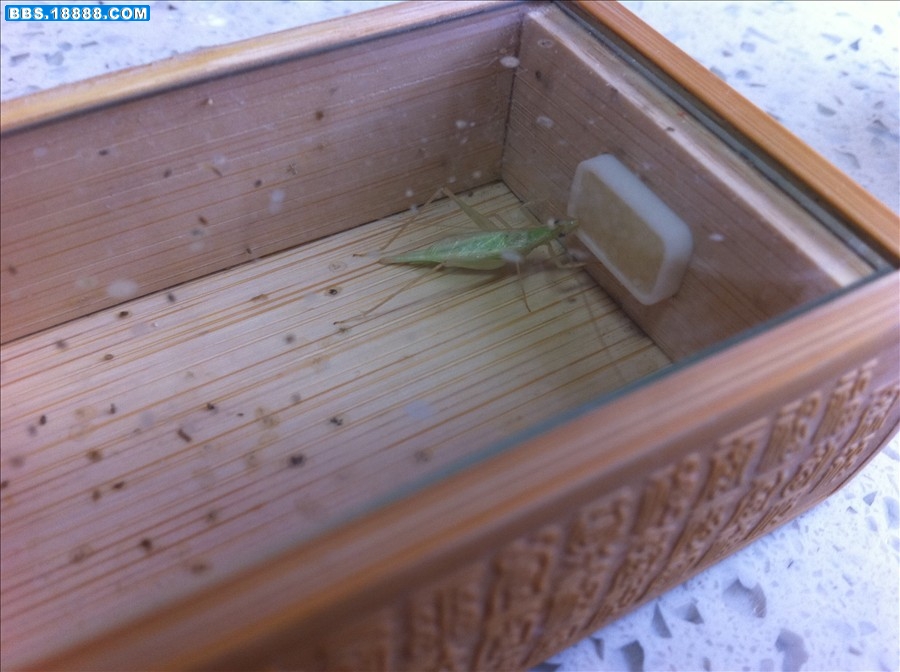 照片 024.jpg
