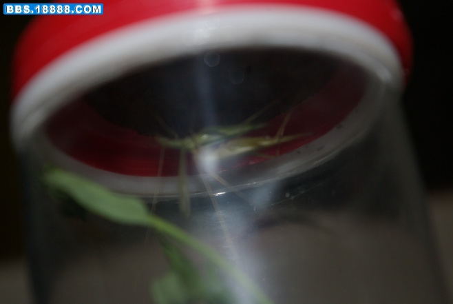 IMGP0429_缩小大小.JPG