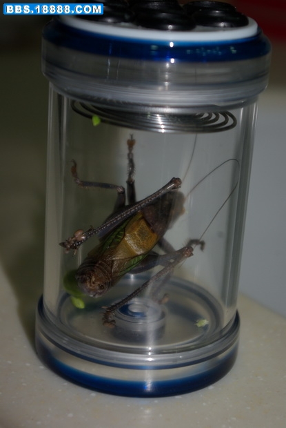 IMGP0451_缩小大小.JPG