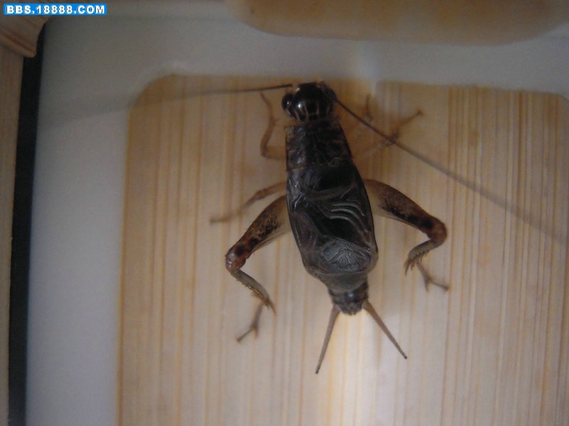 DSCN1749.JPG