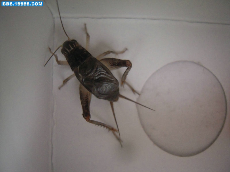 DSCN1748.JPG