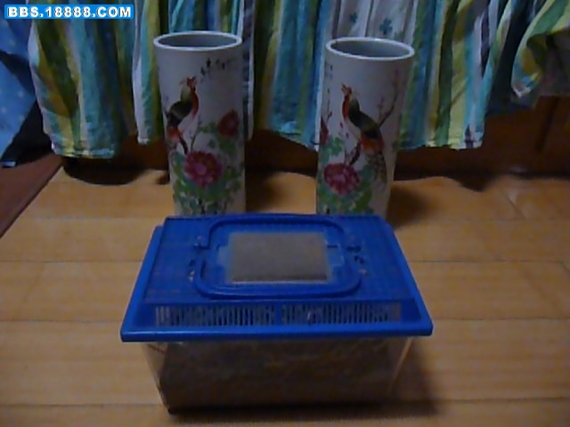 P1050581.JPG