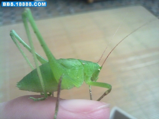 20110905270.jpg